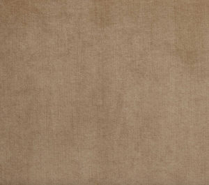 Abstract Tan Swatch