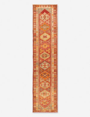 Libby Vintage Runner Rug, 2'7