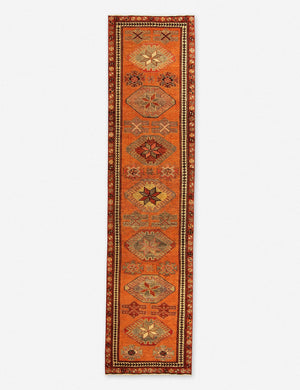 Laurena Vintage Runner Rug, 3'1