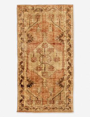 Genn Vintage Rug, 2'8