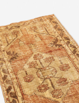 Genn Vintage Rug, 2'8