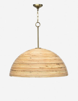 Regina Andrew Laguna Pendant Light