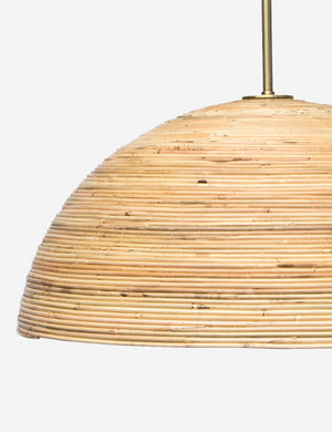 Regina Andrew Laguna Pendant Light