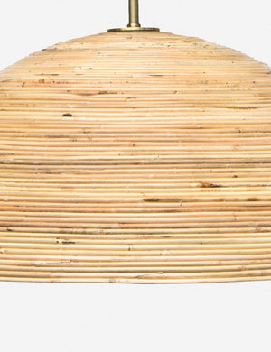 Regina Andrew Laguna Pendant Light