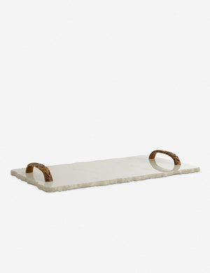 Ladelle Tray by Arteriors