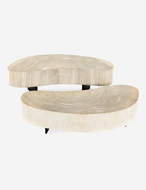 Finley Coffee Table Set