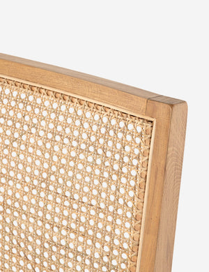 Archie Dining Chair