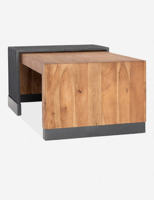 Luciane Coffee Table