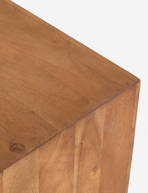 Luciane Coffee Table