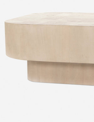 Sunako Coffee Table OLD