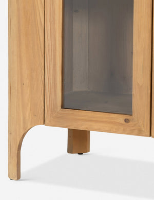 Andrade Curio Cabinet