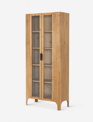 Andrade Curio Cabinet