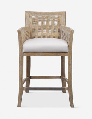 Quincey Counter Stool