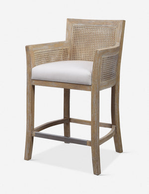 Quincey Counter Stool