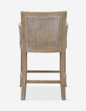 Quincey Counter Stool