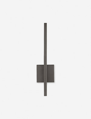 Simba Indoor / Outdoor Sconce by Arteriors