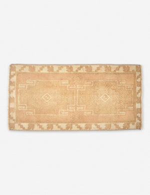 Augusto Vintage Mini Rug, 1'7