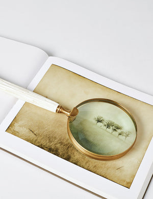 Hartnett Magnifying Glass Object