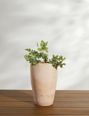 Abrielle Planter (Set of 2) by Campania International