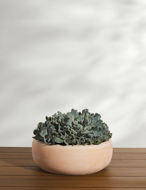 Annalise Planter (Set of 2) by Campania International