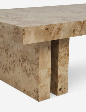 Close-up of the left corner of the Brisa rectangular burl wood coffee table with four legs