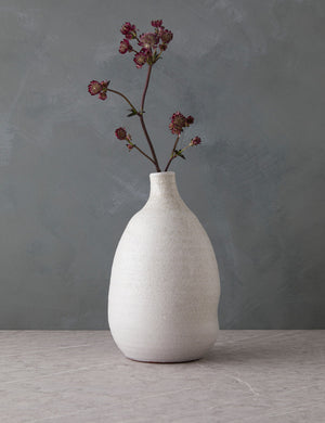 Ayala Vase