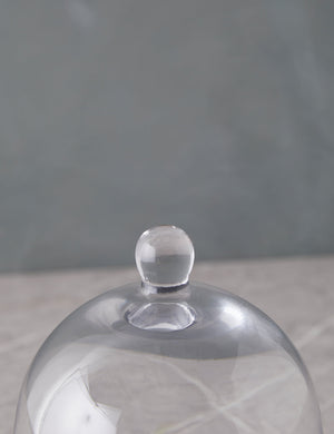 Pollard Cloche