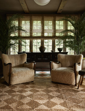 Havenhurst Rug by Jake Arnold