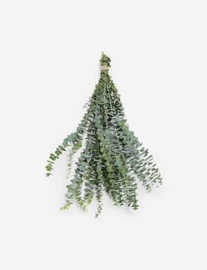 Fresh Handmade Baby Blue Eucalyptus Bunch
