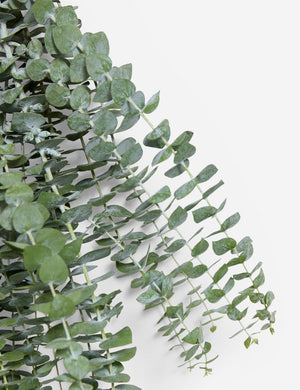 Fresh Handmade Baby Blue Eucalyptus Bunch