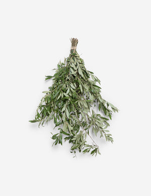 Fresh Handmade Olive Branch Bunch