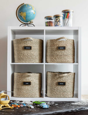 Seagrass Bin by NEAT Method