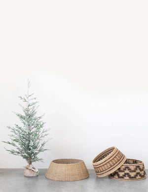 Keegan Tree Collar