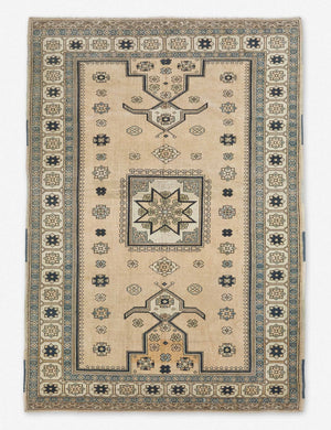 Roana Vintage Rug, 6'9