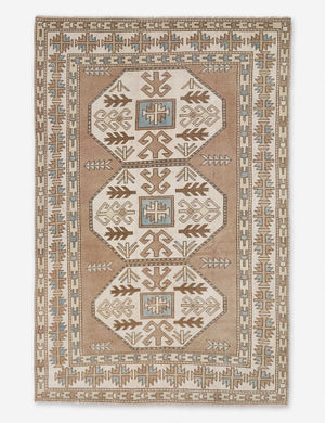 Desai Vintage Rug, 4'8