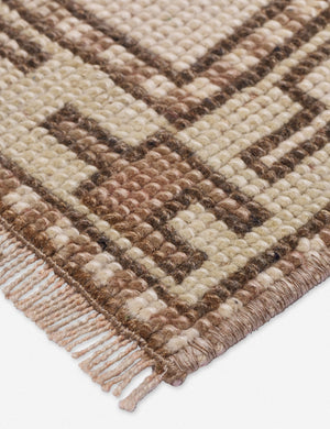 Desai Vintage Rug, 4'8