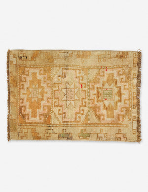 Mayve Mini Vintage Rug, 1'7
