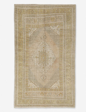 Emre Vintage Rug, 5'1