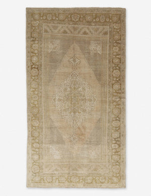 Adem Vintage Rug, 5'7