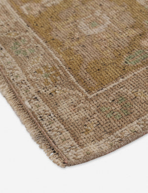 Adem Vintage Rug, 5'7