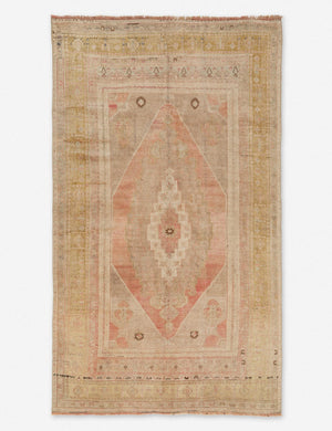 Aydin Vintage Rug, 5'4