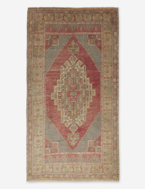 Lynsi Vintage Rug, 3'8