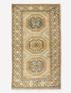 Braulia Vintage Rug, 2'4