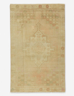 Louiza Vintage Rug, 3' x 4'9