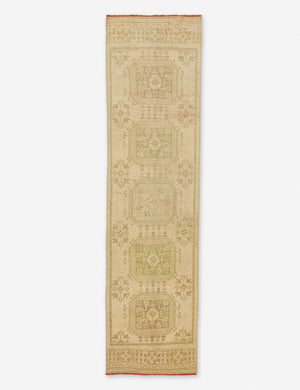 Lyn Vintage Runner Rug, 2'10