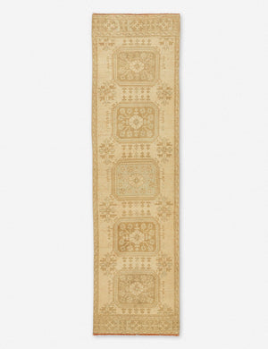 Migdalia Vintage Runner Rug, 2'11