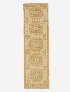 Vina Vintage Runner Rug, 3'1