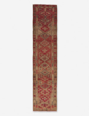 Astine Vintage Runner Rug, 2'9