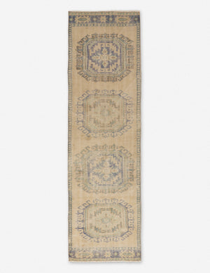 Dalita Vintage Runner Rug, 2'11