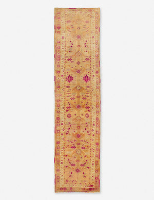 Safiye Vintage Runner Rug, 2'10